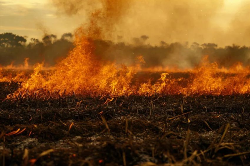 The future of solar energy depends on adapting to climate change, says EPE