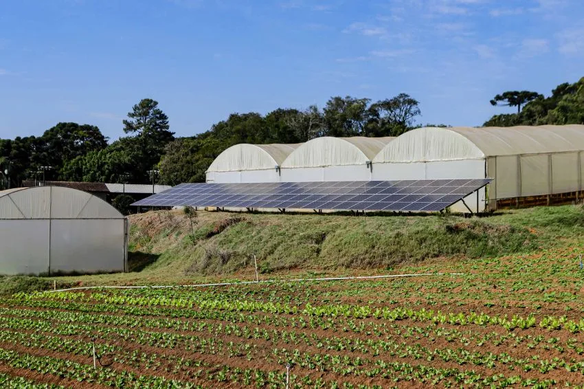 Canal Solar - Paraná reaches 1 GW of distributed generation in the field with the support of public policies