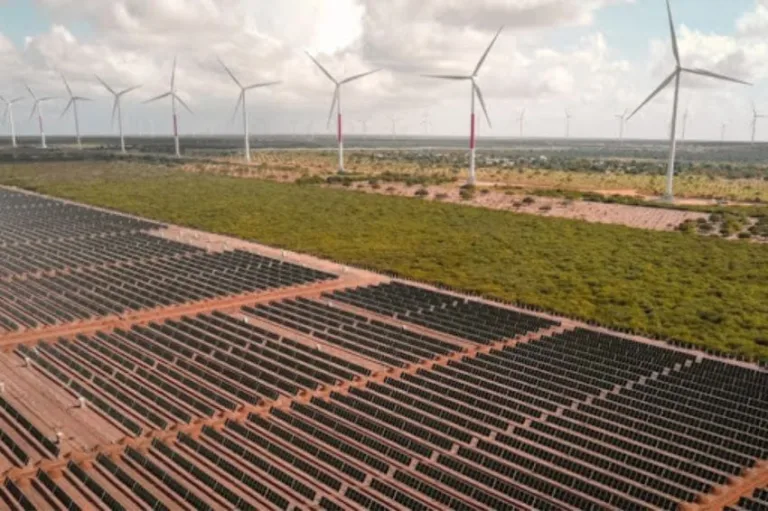 Canal Solar - Corte de geração renovável um panorama do curtailment
