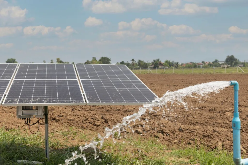 Agricultor de 89 anos reduz conta de luz de R$ 700 para R$ 80 com energia solar