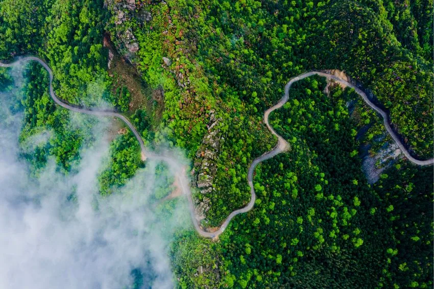 Canal Solar - Brazil could hold 15% of the carbon credits generated annually by 2030.