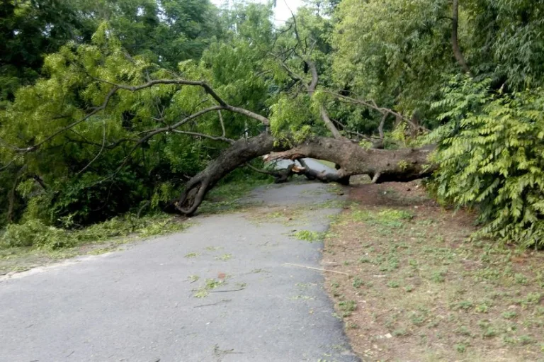 Energia em risco: vendavais, apagões e o chamado urgente pela transição energética