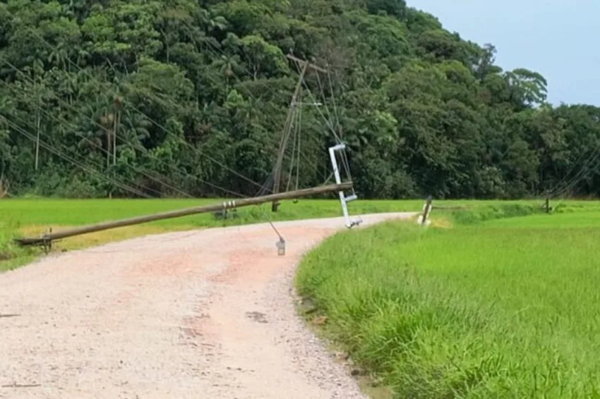 Canal Solar - Falhas frequentes em Santa Catarina pressionam Celesc por medidas preventivas