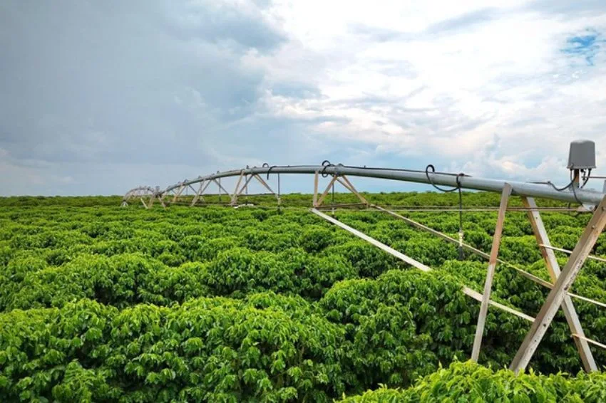 Canal Solar - Governo vai redesenhar incentivos à energia no campo