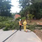 Canal Solar - Ventania agrava crise e deixa mais de 2 milhões sem luz em São Paulo