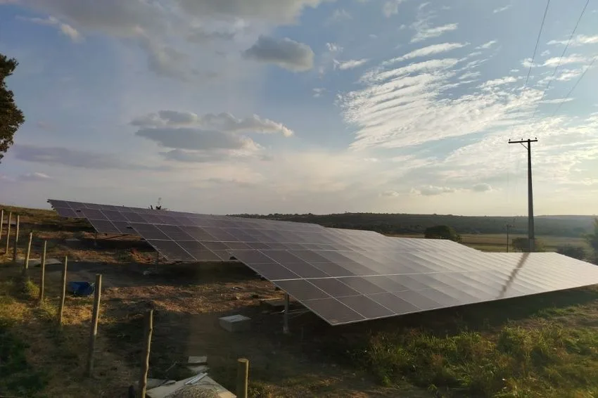 Curtailment and flow reversal lead to a 29% contraction in the solar energy market in Brazil.