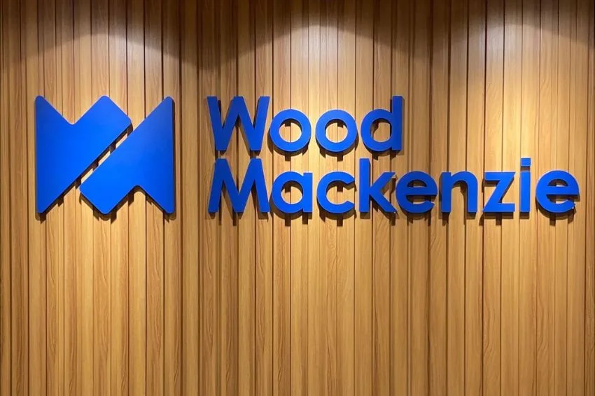 Ranking de inversores no 1º semestre de 2025, segundo Wood Mackenzie