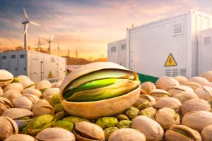 BESS é o novo pistache: por que virou o “sabor” do setor