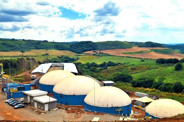 Brasil terá 1ªusina de biometano a partir de dejetos suínos