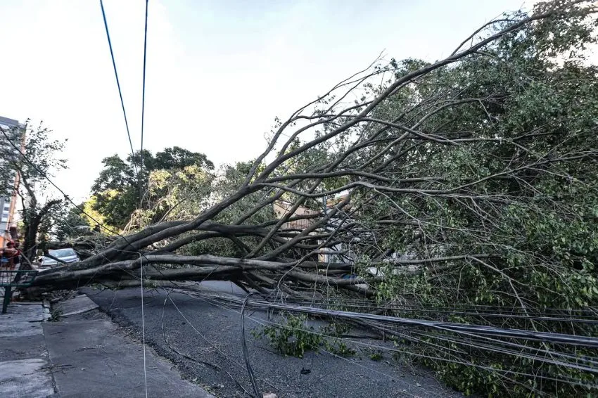 Se “só Jesus” resolve, então para que servem a concessão e a conta de luz?