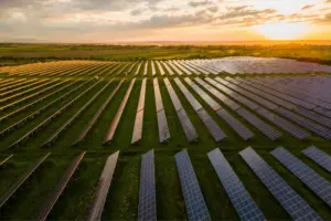 Ano decisivo para consolidação regulatória do curtailment