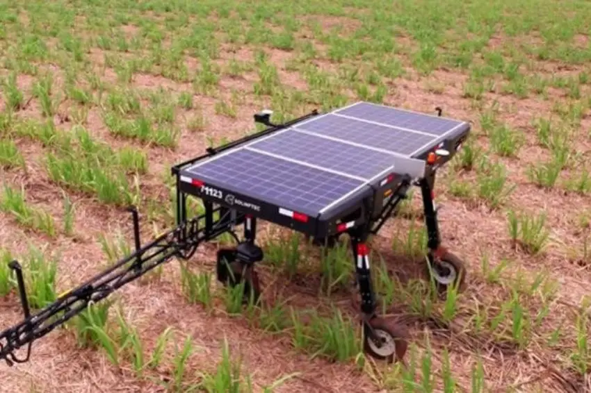 Energia solar viabiliza robô autônomo para monitoramento contínuo no agronegócio