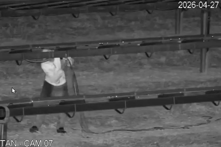 Canal Solar - Sistema de monitoramento impede furto de cobre em usina solar; três homens são presos em flagrante