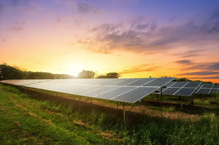 Solar registra melhor desempenho em oito anos, com 75% da demanda global