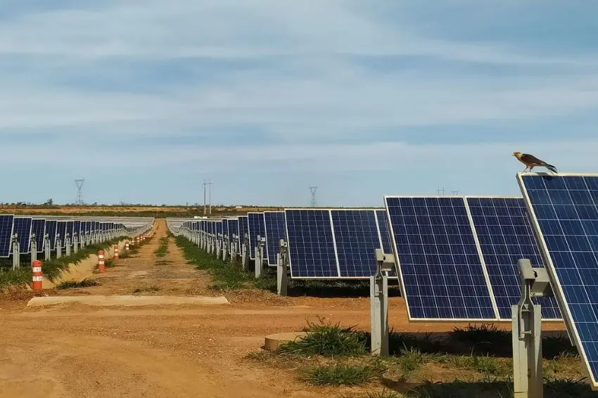 ONS atualiza nota técnica após rever cálculo de usinas solares