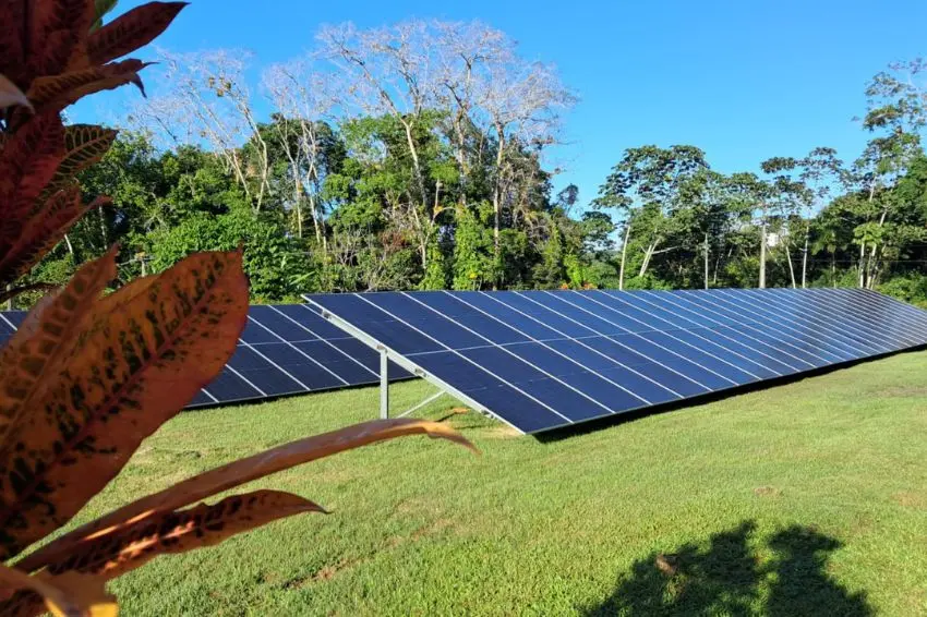 Canal Solar - Michelin inaugura usina solar na Bahia e amplia uso de energia renovável