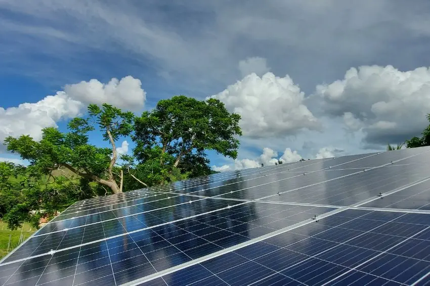 O "Gato Solar" e o desafio regulatório