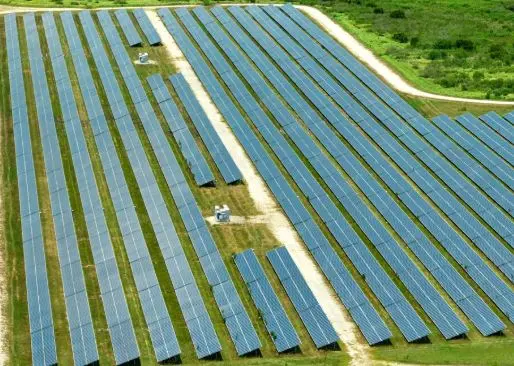 Canal Solar - Dia Mundial do Meio Ambiente: solar impulsiona descarbonização, mas Brasil ainda insiste em geração fóssil