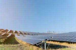 Canal Solar - ABSOLAR vê avanço em regra para ressarcimento do curtailment, mas alerta para risco de novas disputas judiciais