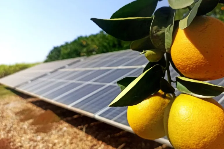 Canal Solar - Plano Safra amplia recursos para transição energética e passa a financiar sistemas de armazenamento 