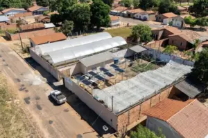 Projeto social usa energia solar para ampliar produção de hortaliças no Tocantins