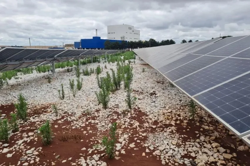 Canal Solar - Tecnologia brasileira aprovada por concessionárias ajuda a destravar projetos com inversão de fluxo