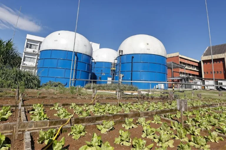 USP transforma resíduos em energia e fertilizantes