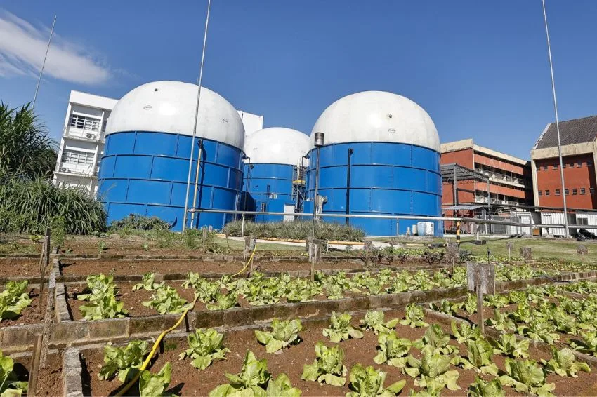 USP transforma resíduos em energia e fertilizantes