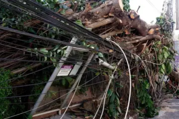 Canal Solar - Investimentos na rede elétrica não eliminam possibilidade de desligamentos durante super El niño, diz ABRADEE 