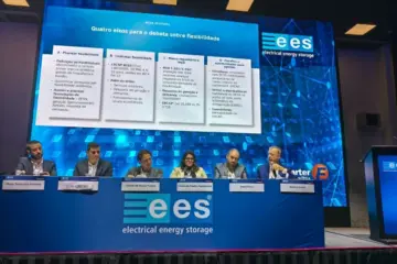 Canal Solar - Leilão de baterias se aproxima com incertezas sobre preço, conexão e equipamentos