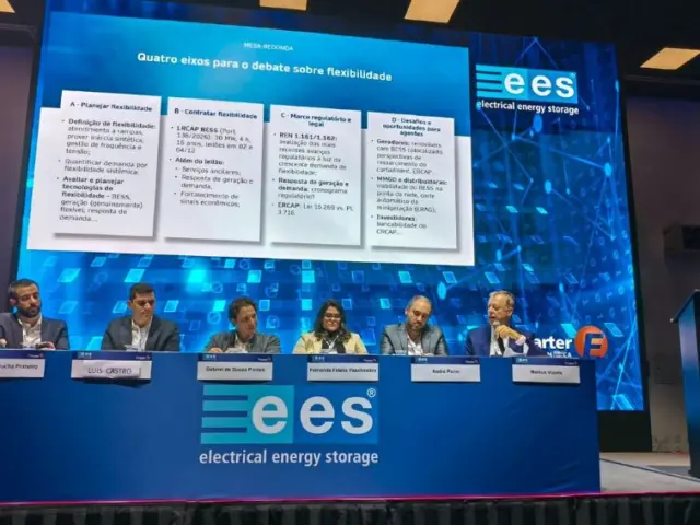Canal Solar - Leilão de baterias se aproxima com incertezas sobre preço, conexão e equipamentos
