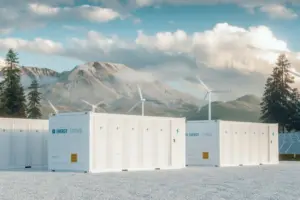 Canal Solar - Volume de inscrições nos leilões de baterias comprova forte interesse do mercado, diz ABSOLAR