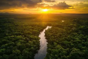Canal Solar - Energia solar fortalece geração de renda em aldeias indígenas