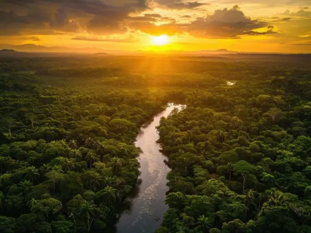 Canal Solar - Energia solar fortalece geração de renda em aldeias indígenas