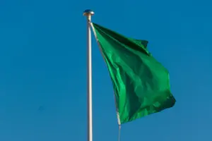 Canal solares - ANEEL La bandera verde se mantiene vigente durante noviembre, y las facturas de electricidad volverán a estar libres de cargos adicionales.&nbsp;