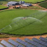 Agronegócio é responsável por 60% da energia renovável do Brasil, aponta FGV