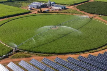 Agribusiness is responsible for 60% of Brazil's renewable energy, according to FGV.