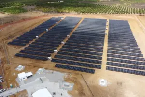 Bahia inaugurates solar power plant with BESS worth nearly R$ 25 million for fruit production.