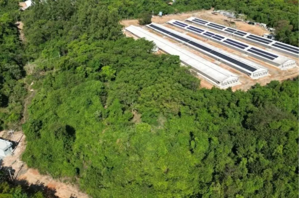 Baterias garantem até 27 horas de autonomia energética em granja mineira
