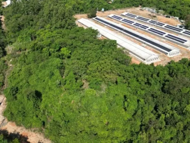 Baterias garantem até 27 horas de autonomia energética em granja mineira