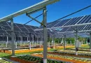 Canal Solar - UFSC testa modelo de geração solar integrada à produção agrícola